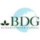 Buddhistdoor Global (BDG)