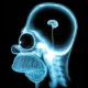 1.Thought