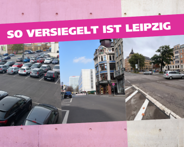 Bild/Foto