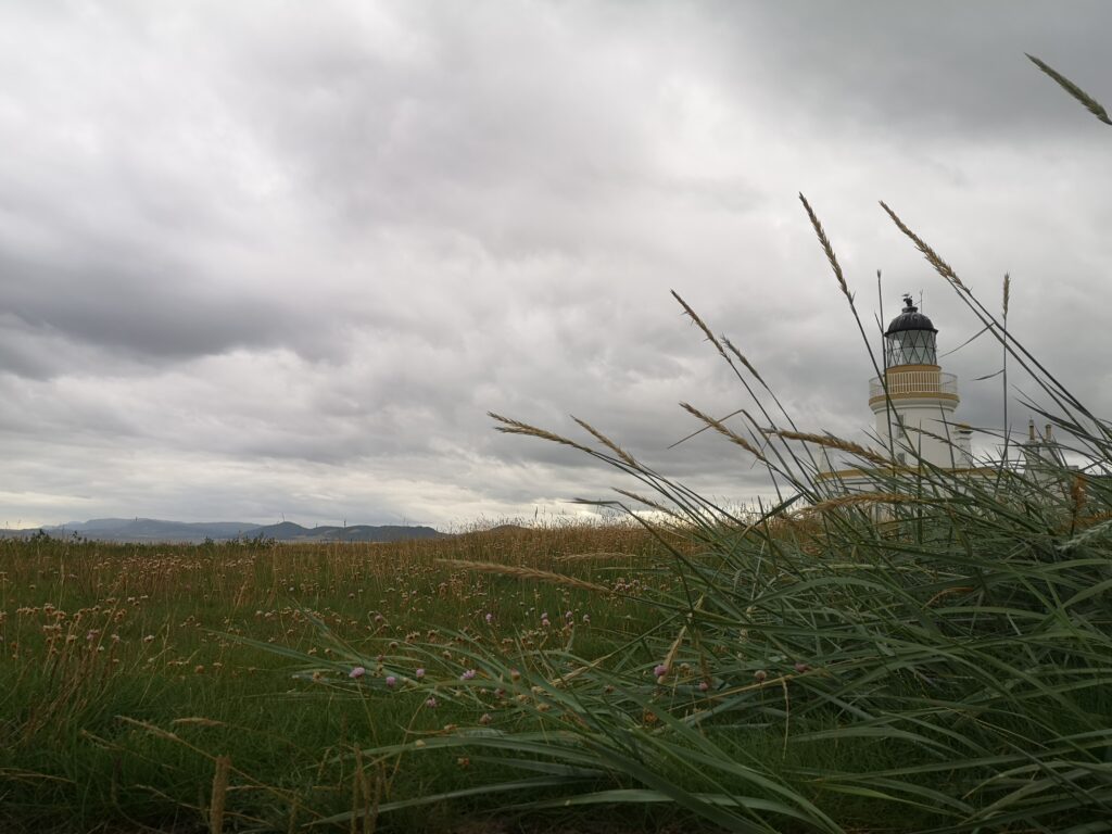 Blick auf den Chanonry Leuchturm, der sich leicht hinter Dünengras versteckt. vor uns dehnt sich die Wiese bis zum Leuchtum aus Blick auf den Chanonry Leuchturm, der sich leicht hinter Dünengras versteckt. vor uns dehnt sich die Wiese bis zum Leuchtum aus