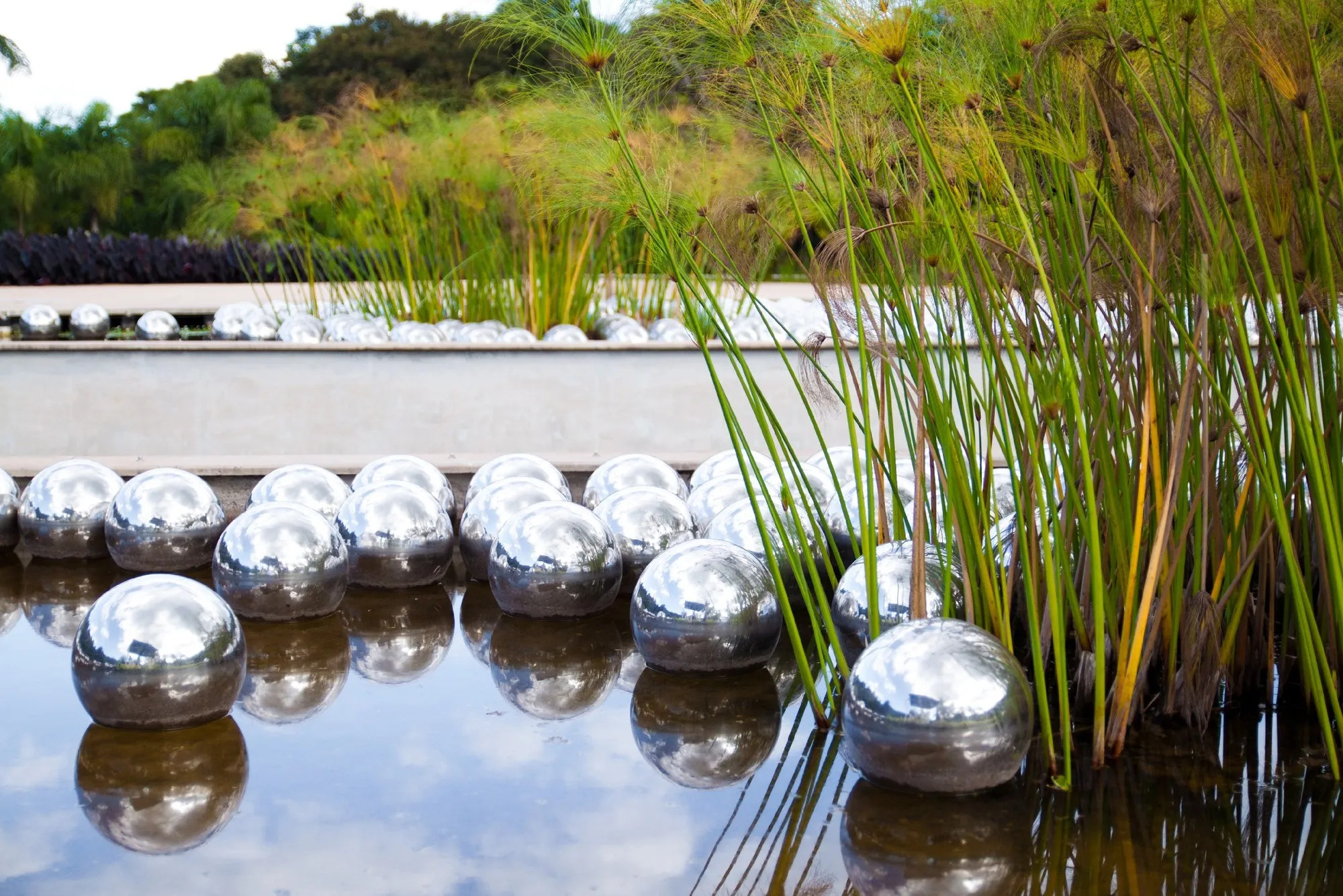 Reflective stainless-steel spheres from Yayoi Kusama’s Narcissus Garden floating among reeds in a reflecting pool at Inhotim in Brazil