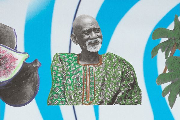 Journey to the center of the sea moss universe. You'll see Dr. Sebi is alive in L.A.