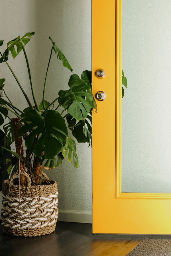 Why I rejected the ‘neutral’ aesthetics of therapy rooms